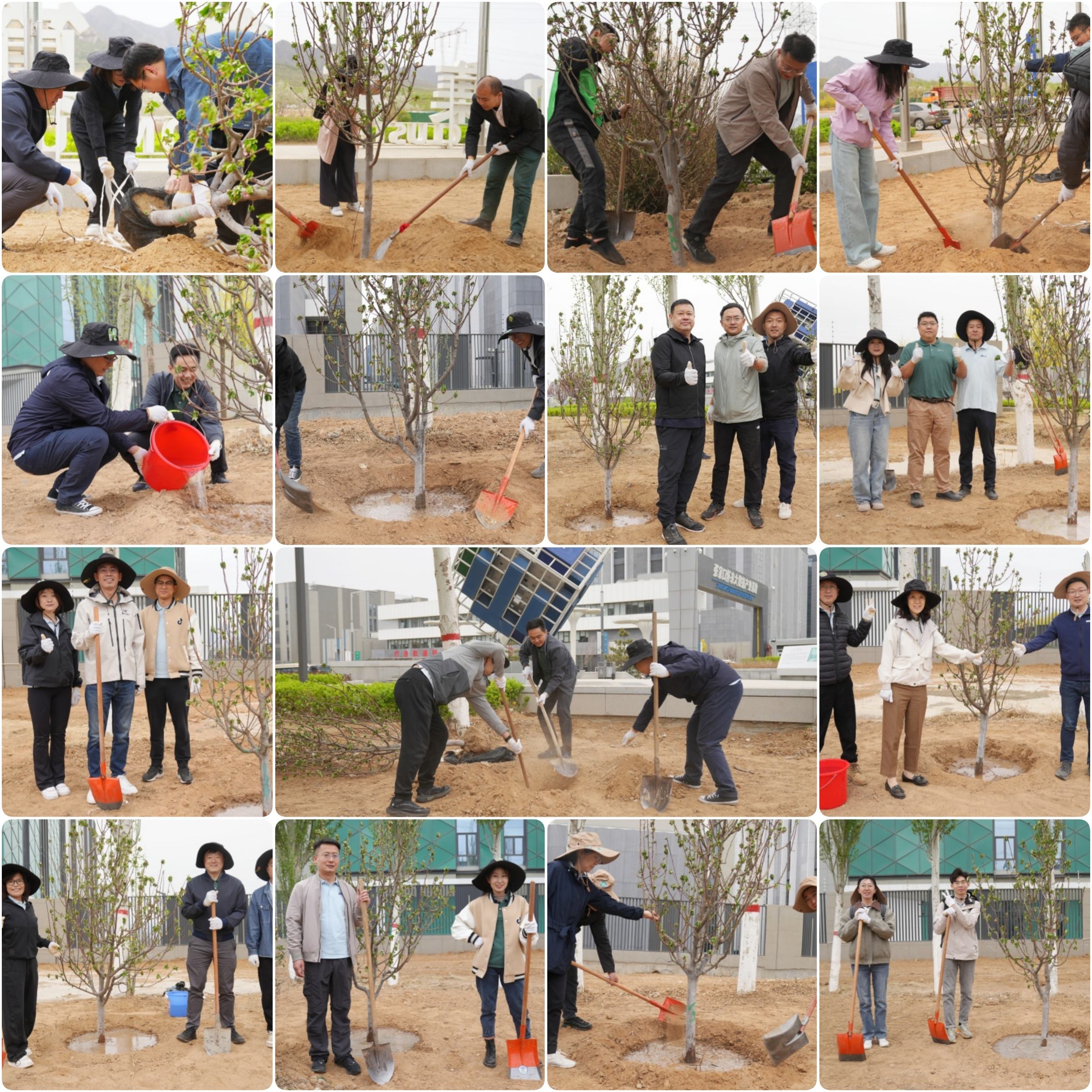 植樹拼圖.jpg